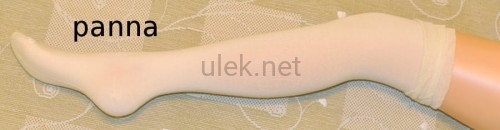 zv9-panna.jpg.c.jpg