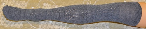 11680150.jpg
