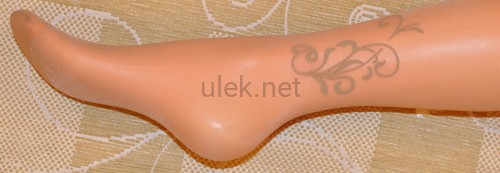 077-visone-4d.jpg