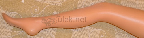077-visone-2d.jpg