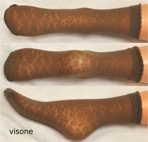 s37-visone-1p.jpg