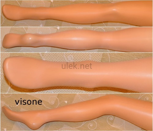 16-visone-1p.jpg