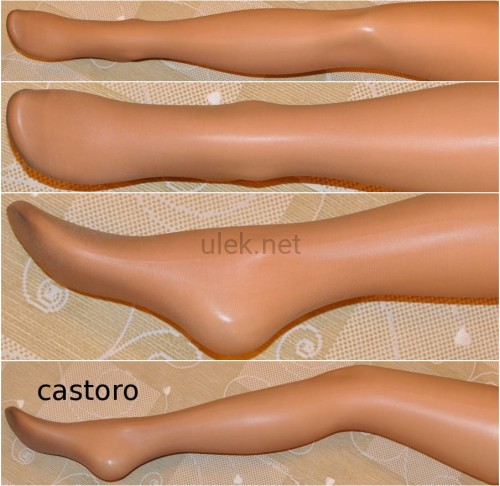 723-castoro-1p.jpg