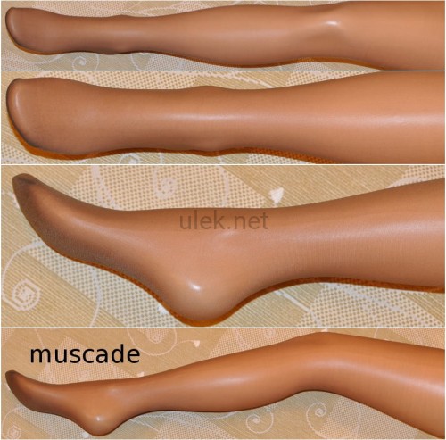 723-muscade-1p.jpg