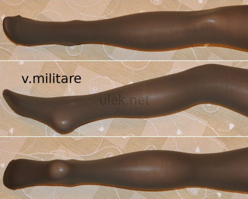 098-v'militare-2p.jpg