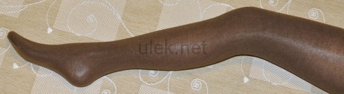 16514076.jpg