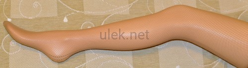 662-visone-2d.jpg