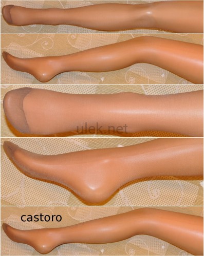 240-castoro-1p.jpg