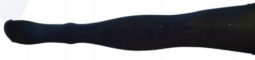 r145-2dd.jpg