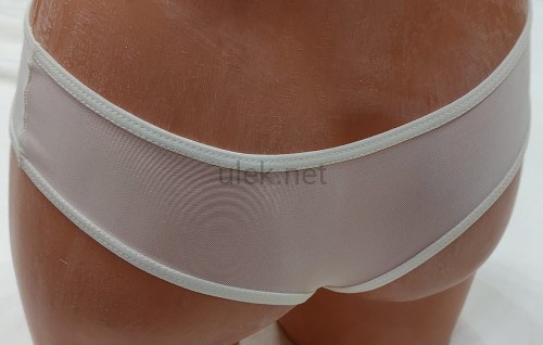b005-panna-3d.jpg