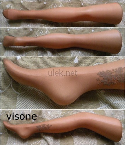 312-visone-1p.jpg