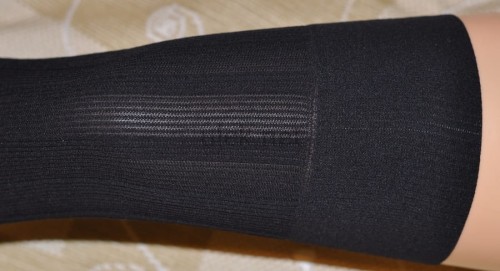 2773203.jpg