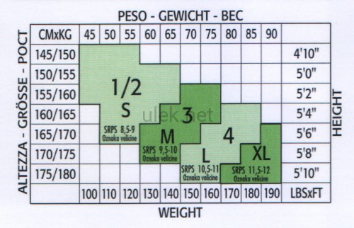 35176064.jpg