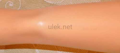 37102930.jpg