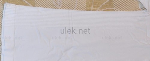 38819945.jpg