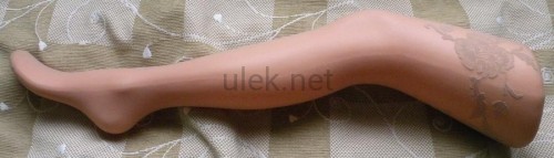 40900336.jpg