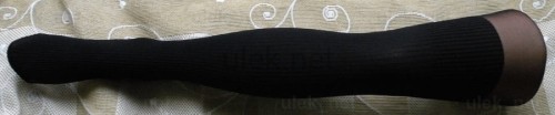 41009628.jpg