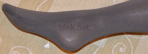42419046.jpg