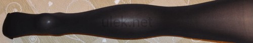 42419050.jpg