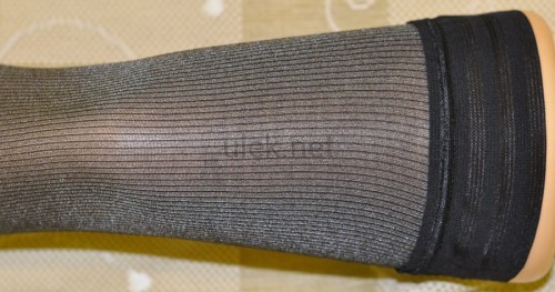4598106.jpg