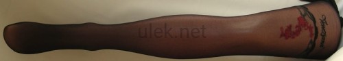 607062.jpg