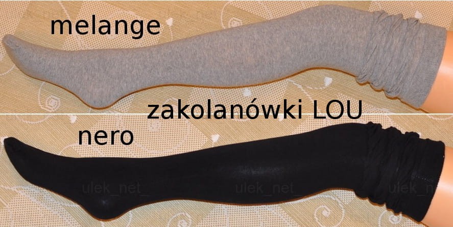 z1-1a.jpg