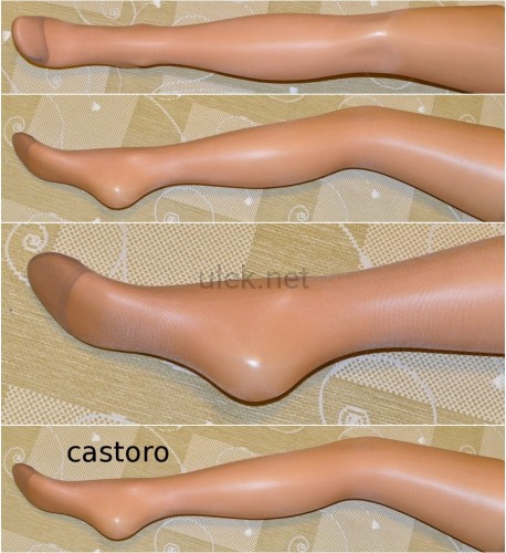 castoro.jpg.c.jpg