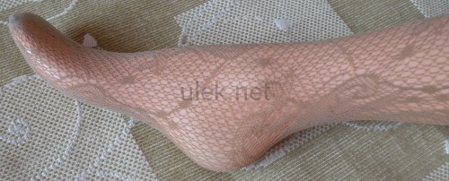 42-visone-4d.jpg