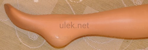 84-visone-4d.jpg