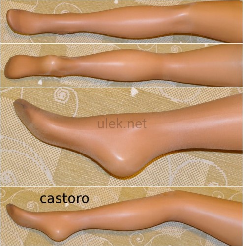391-castoro-1p.jpg
