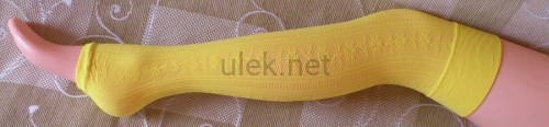 441-limone-2d.jpg.c.jpg